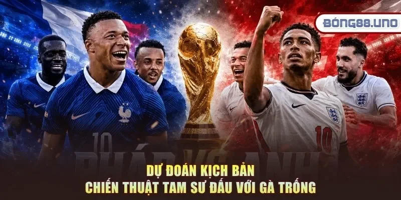 Dự đoán kịch bản chiến thuật Tam Sư đấu với Gà Trống